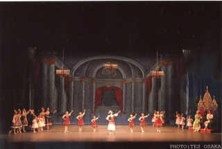 �摜(320x214)�E�g��摜(640x429)