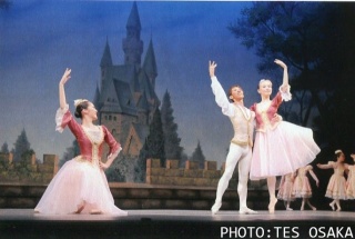 �摜(320x215)�E�g��摜(640x431)