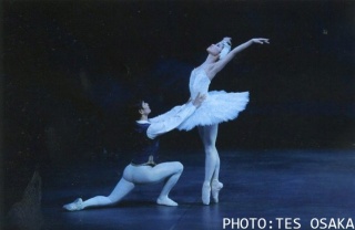 �摜(320x208)�E�g��摜(640x417)