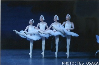 �摜(320x211)�E�g��摜(640x423)