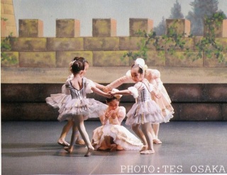 �摜(320x247)�E�g��摜(602x466)