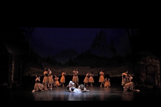 �摜(320x214)�E�g��摜(640x428)